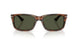 108/31 - Tortoise - Green
