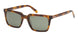 ABERCROMBIE & FITCH 00038 Sunglasses