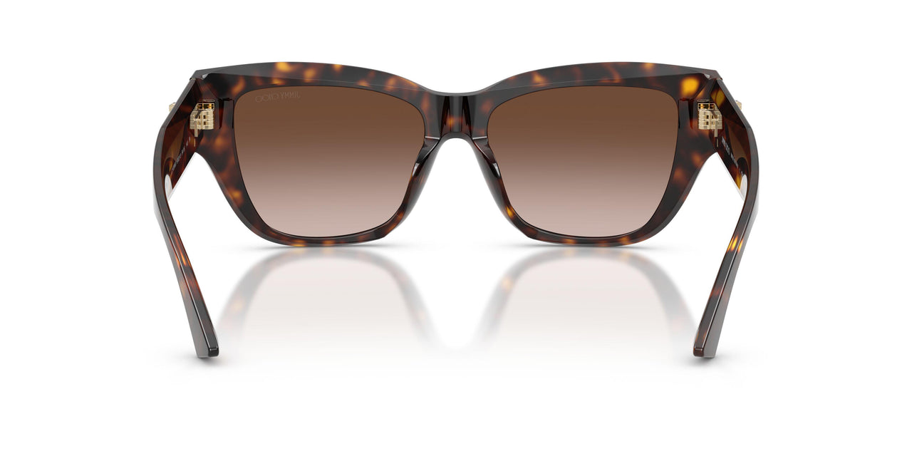 500213 - Tortoise - Gradient Brown