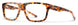 Smith Dagger Eyeglasses