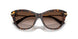 502/13 - Tortoise - Light Brown Gradient Dark Brow