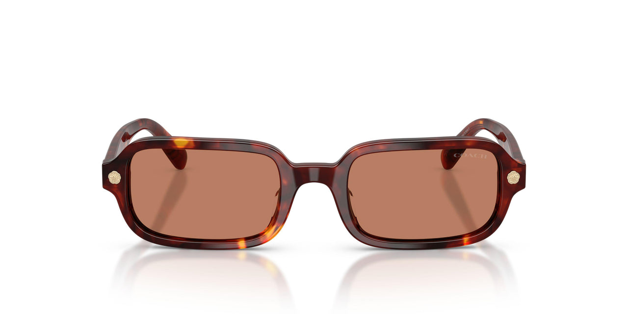 593873 - Tortoise - Light Brown Solid