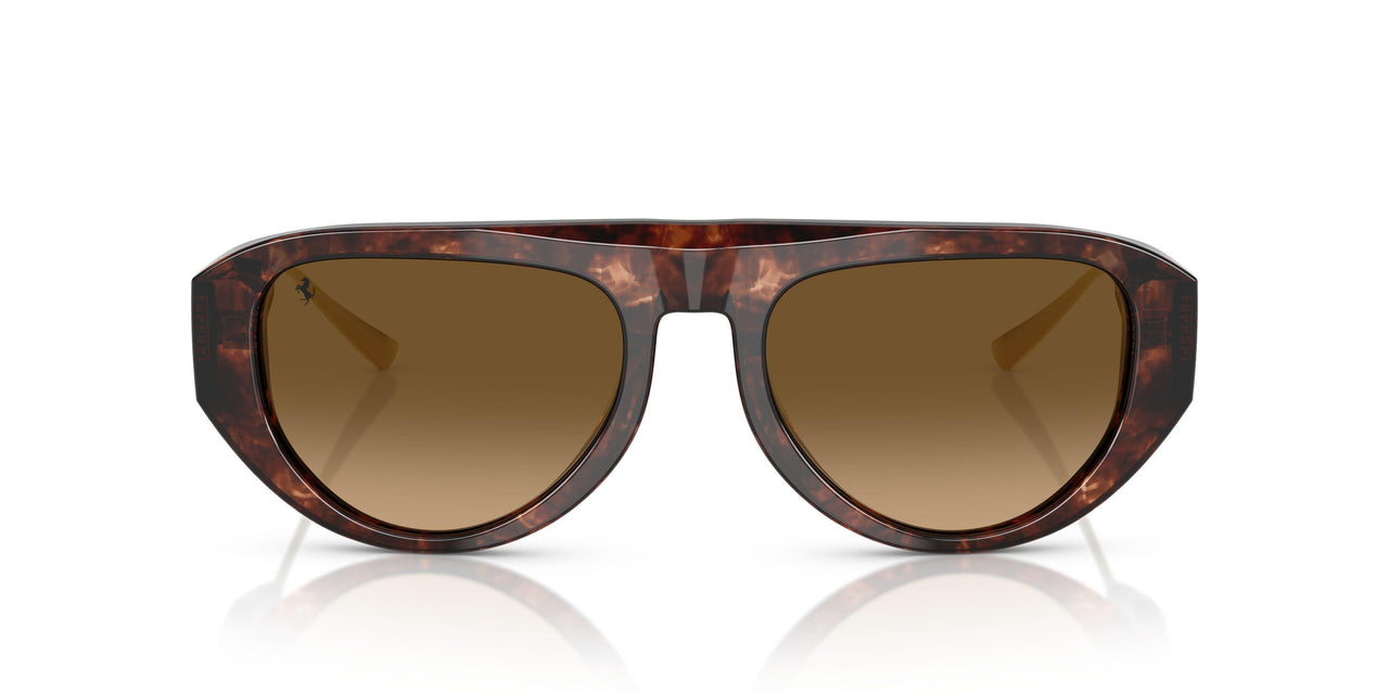 725/M2 - Brown - Gradient Brown Polar