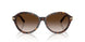 80153B - Tortoise - Brown Gradient