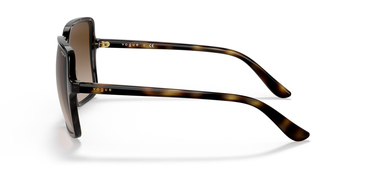 W65613 - Havana - Brown Gradient