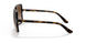 W65613 - Havana - Brown Gradient