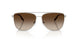 900113 - Silver - Gradient Brown