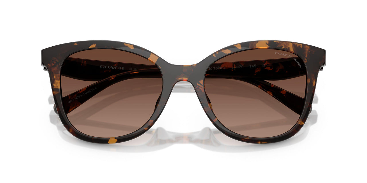 5120T5 - Tortoise - Brown Gradient Polar