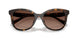 5120T5 - Tortoise - Brown Gradient Polar