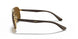 001/83 - Gold - Polar Brown