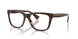 5003 - Tortoise