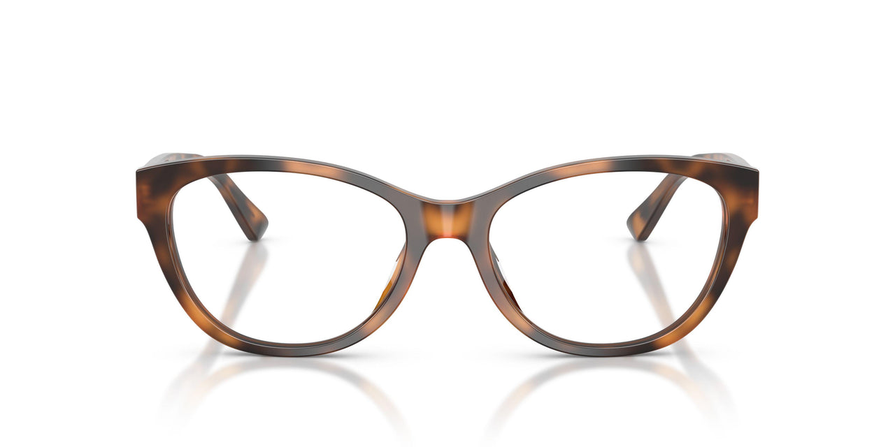 6089 - Tortoise