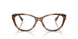 6089 - Tortoise