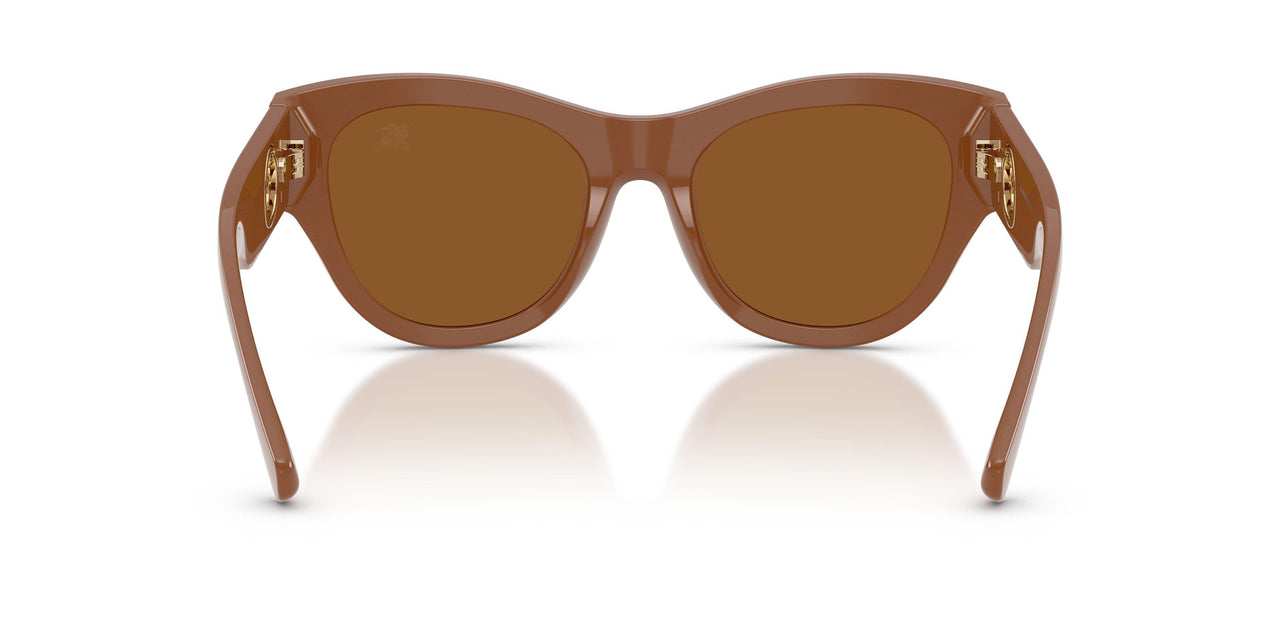 422273 - Brown - Dark Brown