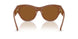 422273 - Brown - Dark Brown