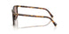 14L20I - Tortoise - Light Purple Brown