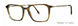 Valdo Enzo Eyeglasses