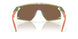 928011 - Brown - Prizm Bronze