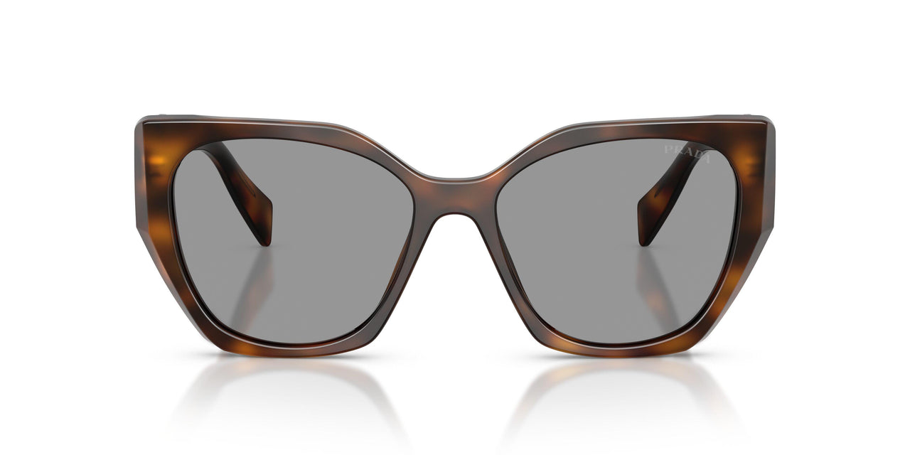 20D50Q - Havana - Grey