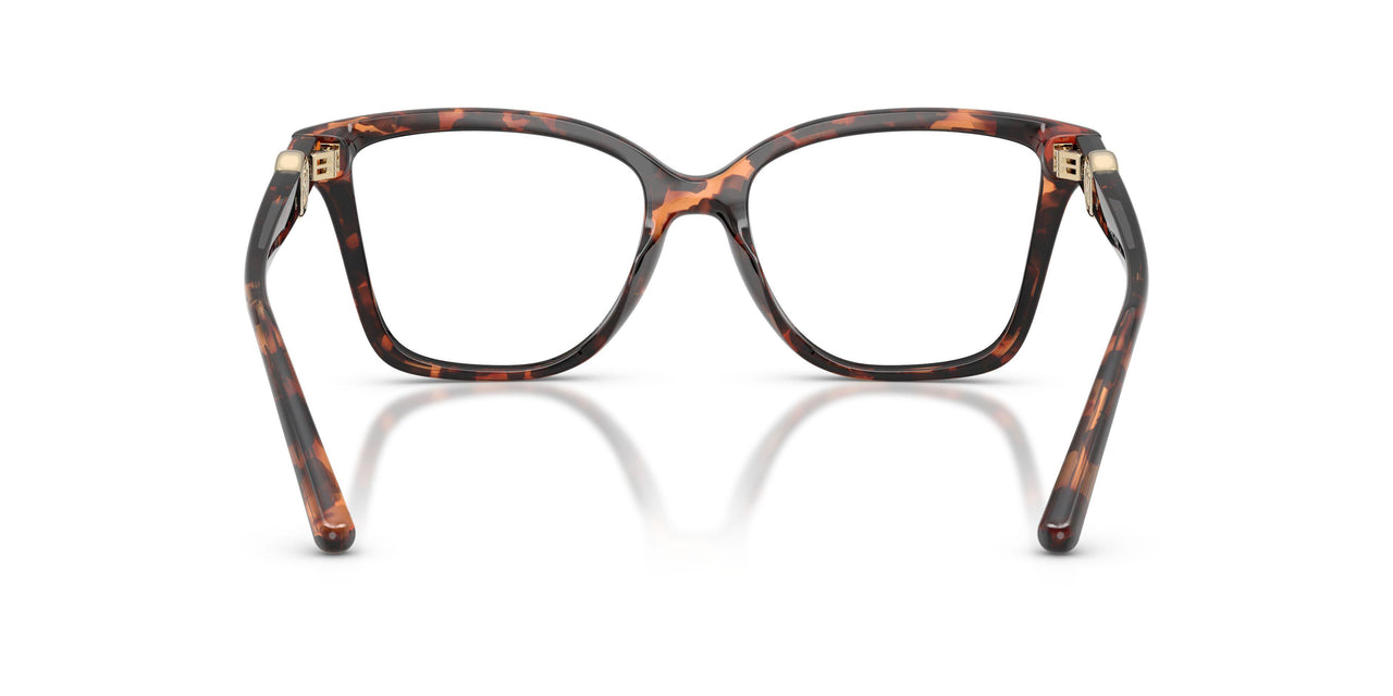4031 - Tortoise