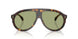 300282 - Tortoise - Green