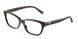 8015 - Tortoise