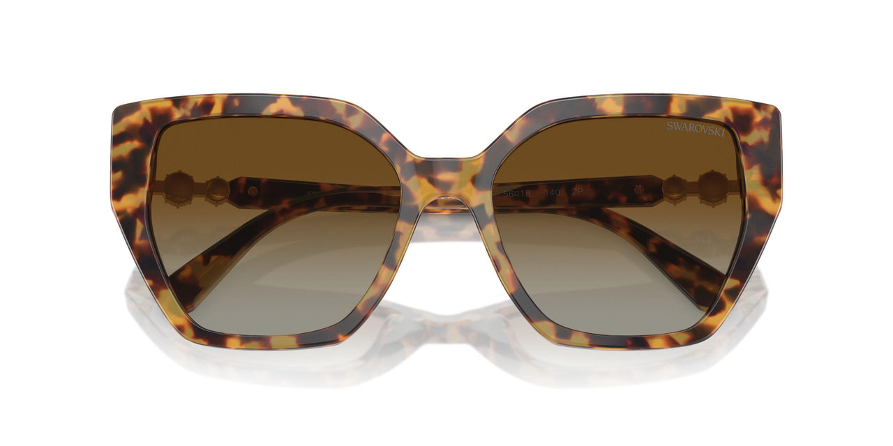 1004T5 - Tortoise - Brown
