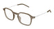 003 - Brown/Silver - Transparent