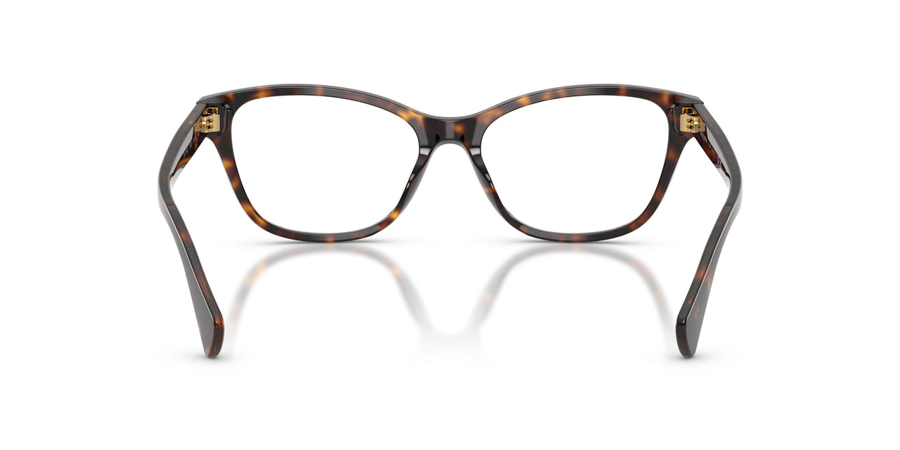 5003 - Brown