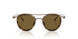 342973 - Gold - Dark Brown