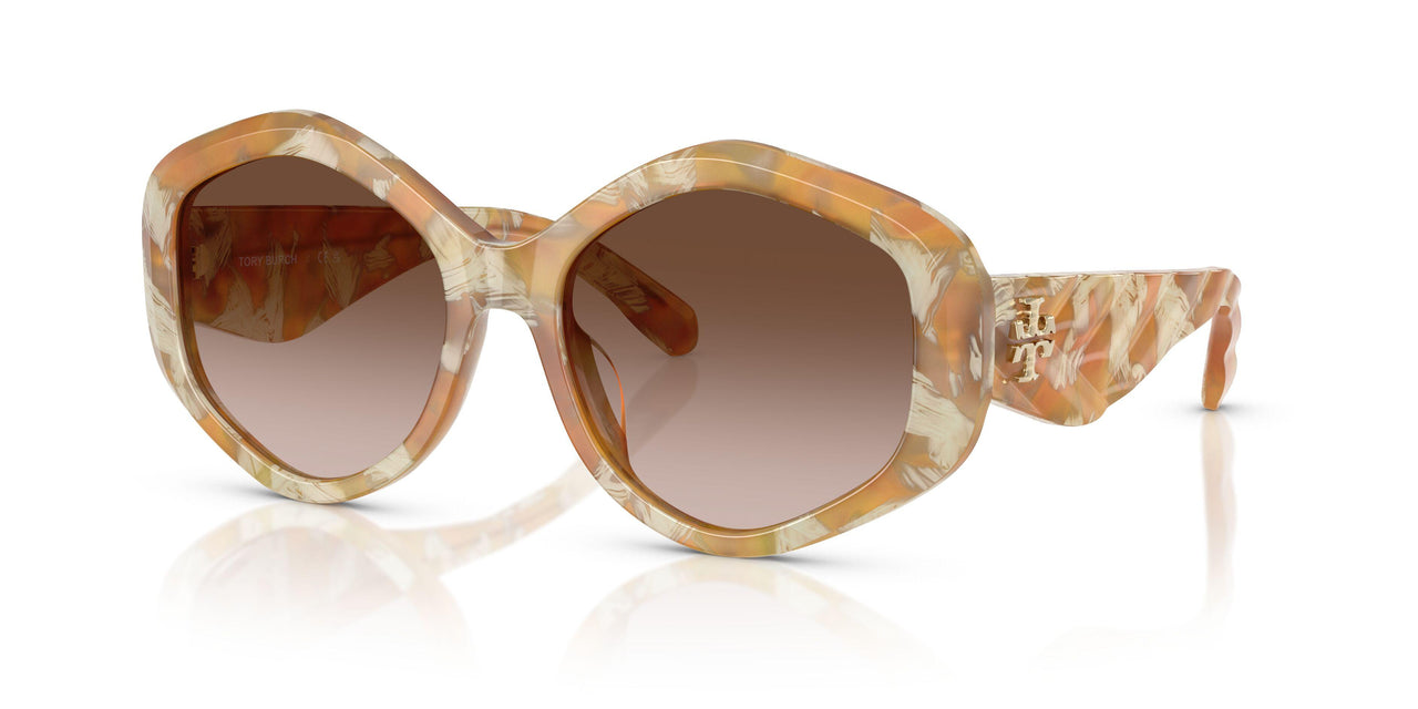 194913 - Tortoise - Brown Gradient
