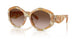 194913 - Tortoise - Brown Gradient