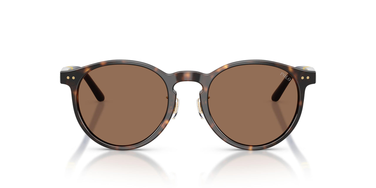 500373 - Tortoise - Brown