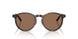 500373 - Tortoise - Brown
