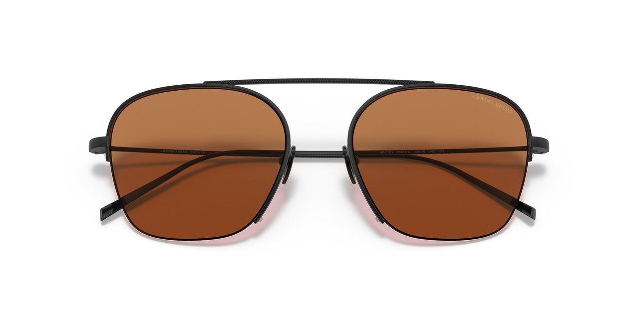 300173 - Black - Brown
