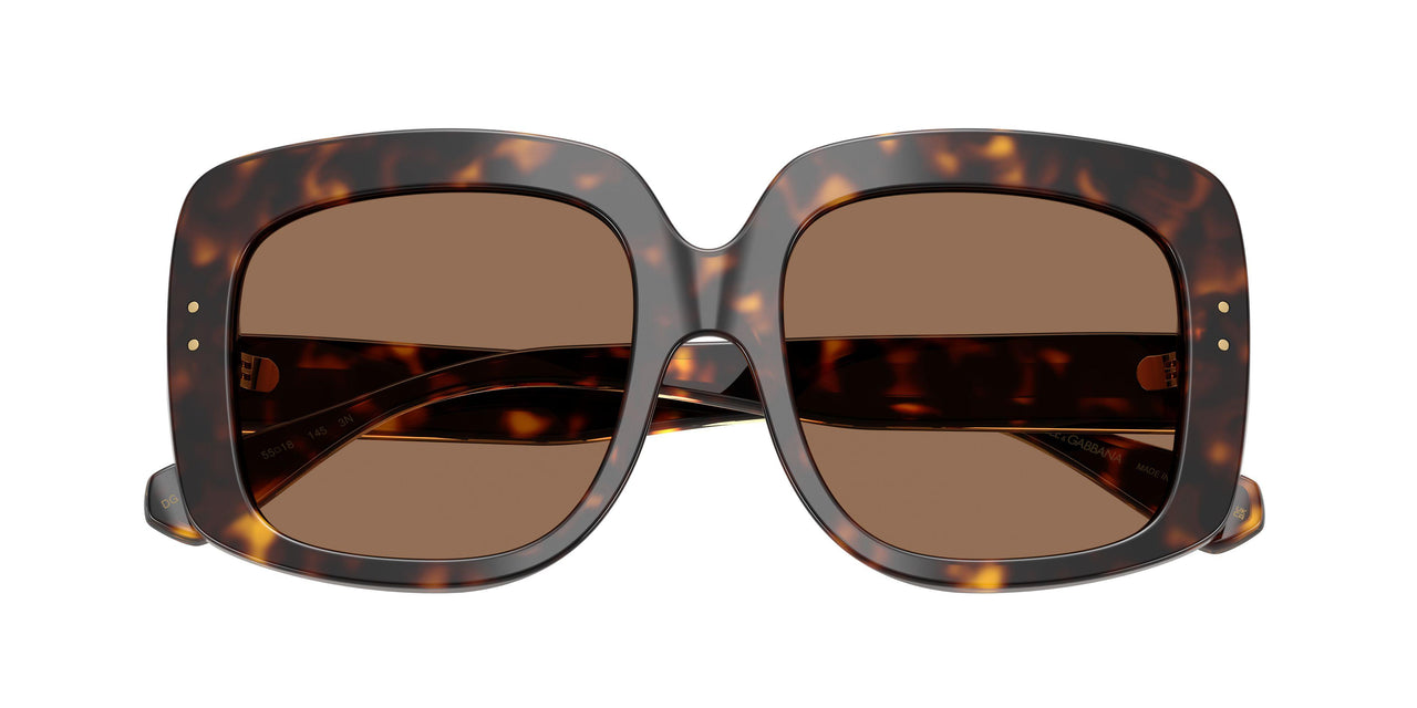 502/73 - Tortoise - Dark Brown