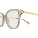 004 - Brown/Gold - Transparent