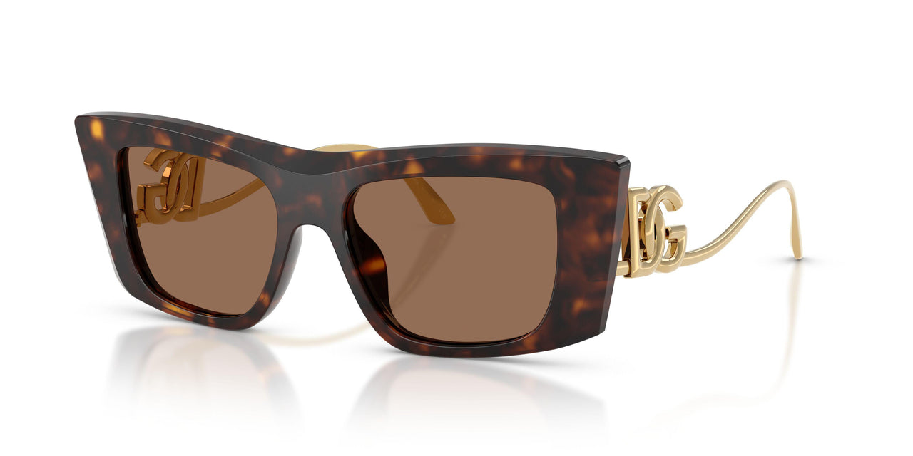 502/73 - Tortoise - Dark Brown