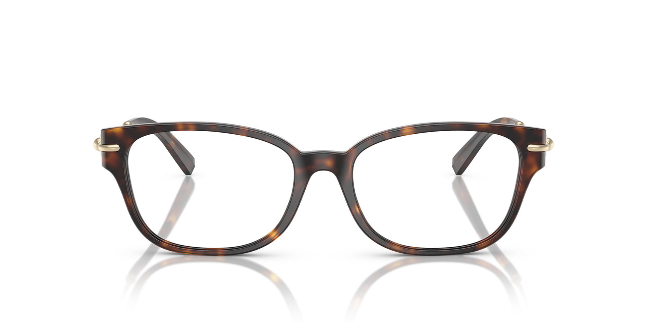 8015 - Tortoise
