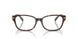 8015 - Tortoise