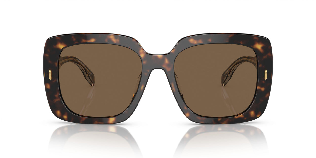 172873 - Tortoise - Dark Brown
