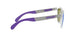 942806 - Clear - Violet Iridium Polarized