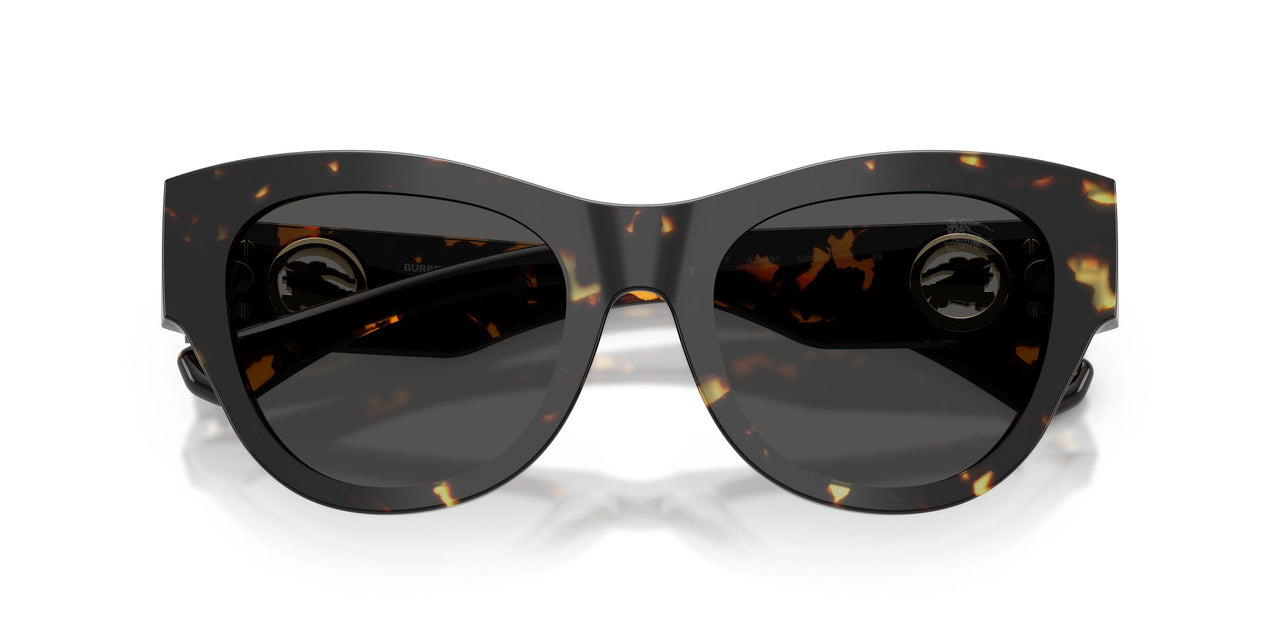 410687 - Tortoise - Dark Grey