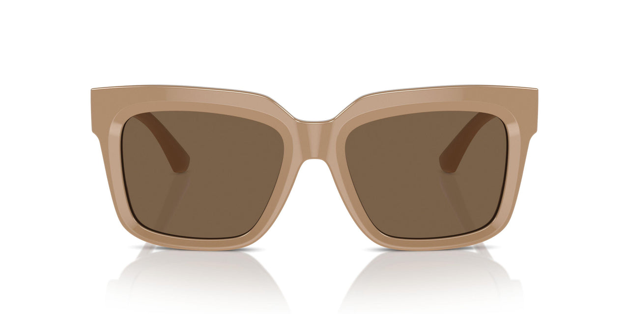 399073 - Beige - Dark Brown