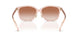 566813 - Pink - Brown Pink Gradient