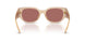 323469 - Brown - Dark Violet