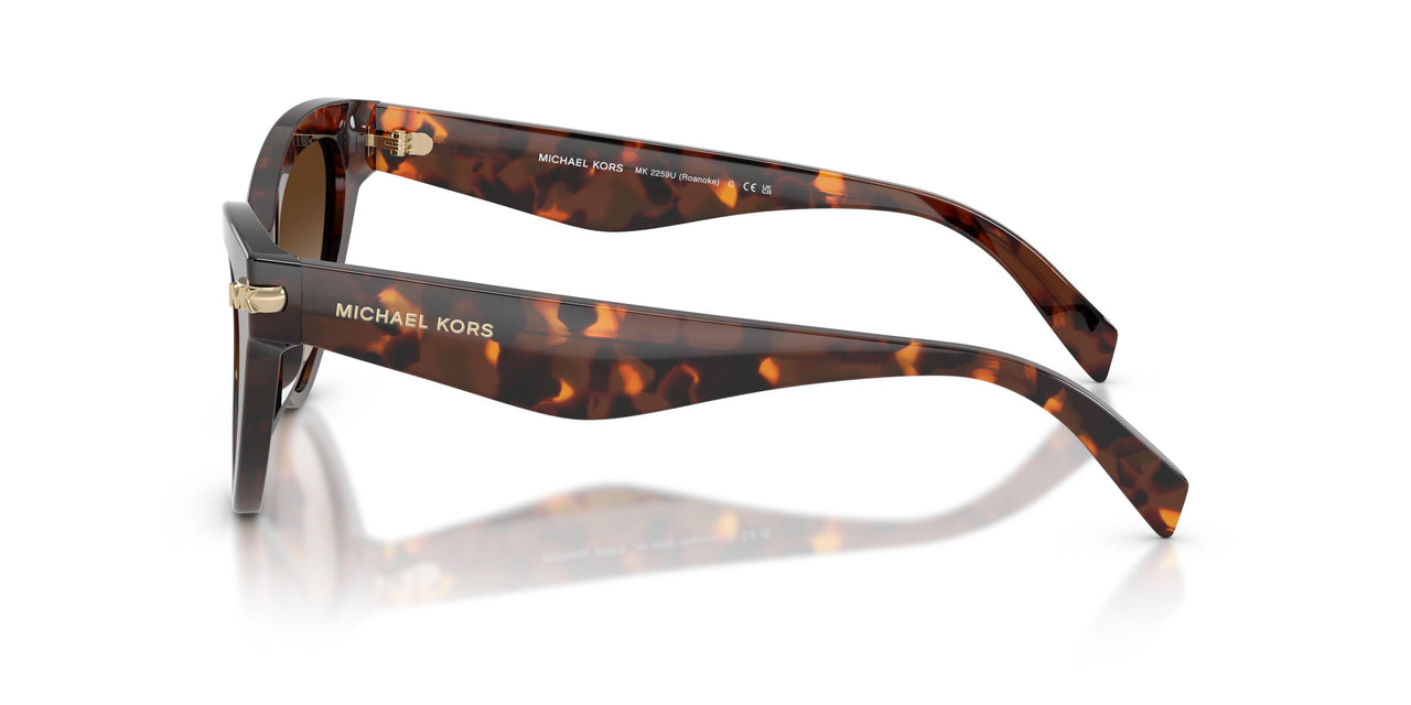 403113 - Tortoise - Smoke Gradient