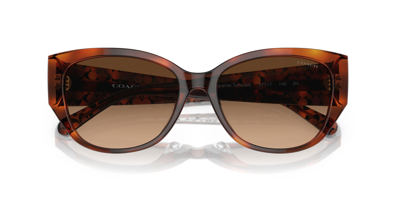 574174 - Tortoise - Brown Gradient