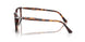 24/GG - Tortoise - Transitions 8 Sapphire