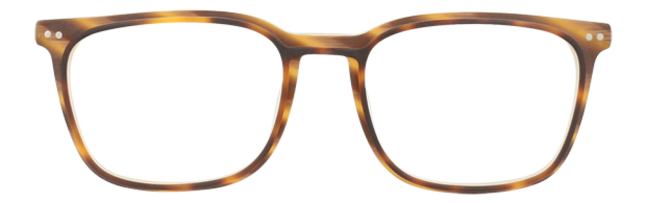 MTR - Matte Tortoise